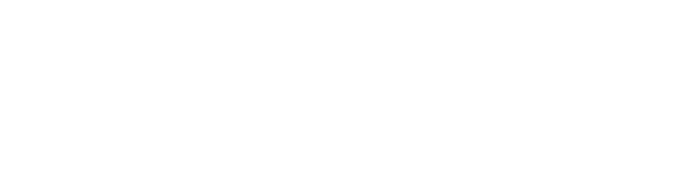 Guardforce Security